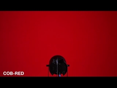 La PANNOCCHIA di RGBW par può