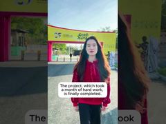 Caso del progetto Shunde Bruce Lee