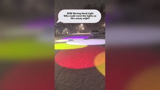 Chi potrebbe resistere alle luci in questa notte nevosa?