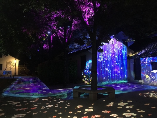 200W impermeabile ad alta potenza Ripple Gobo Proiettore Luce Effetto bandiera flutter Imager Luce HD