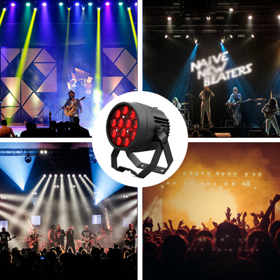 Lumiere LED a par IP65 12x10W