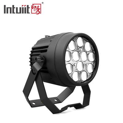 12x10W Potenti luci disco DMX 512 Suono attivato LED Par può luci da palcoscenico