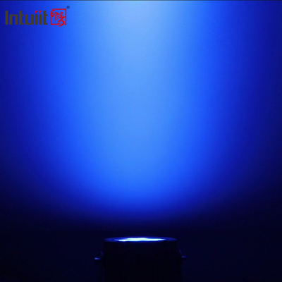 Ip65 all'aperto Dmx 60w Rgbw ha condotto le luci del punto del paesaggio per il giardino