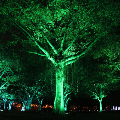 IP65 6W all'aperto in alluminio a prova d'acqua Led Spike Tree Flood Light regolare Spotlight Giardino Paesaggio Illuminazione