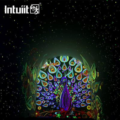 Lampada di proiezione Firefly per esterni ip65 laser sky impermeabile 13W proiettore di luce stellare