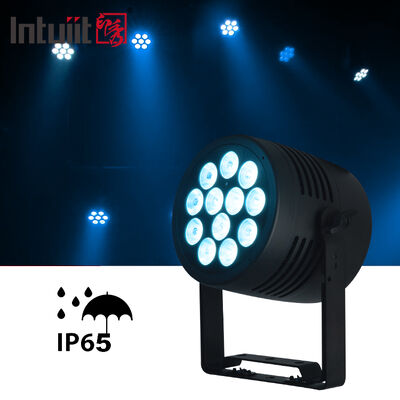 Luce Wash Par a LED 12x20W RGBWA-UV 6 in 1 Flat Par per Palco per Feste, Matrimoni, Discoteca, Spettacoli, Bar, Eventi, Danza