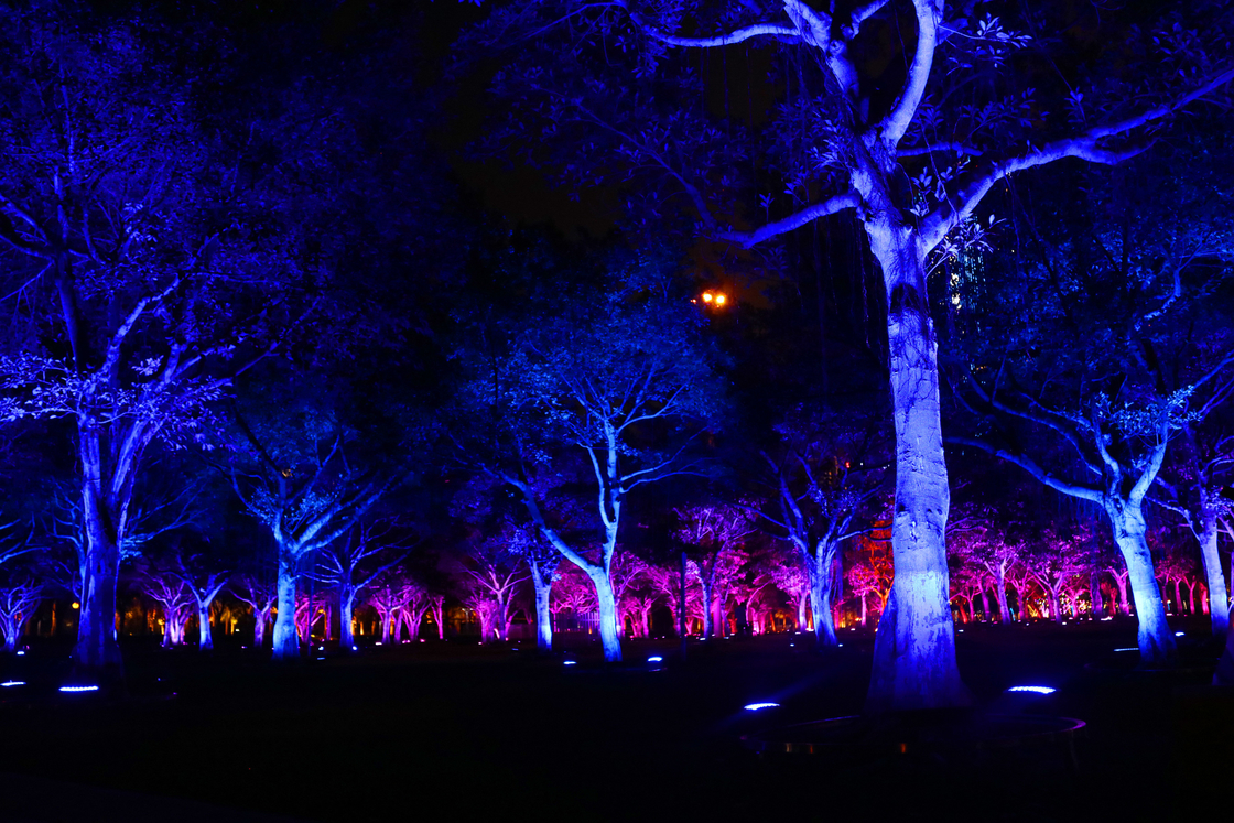 luce di inondazione principale Rgb all'aperto dell'albero del giardino di colori 36w per la proiezione del paesaggio