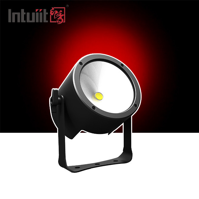 Effetto di illuminazione del palco di nozze Decorazione 120W RGBW Led Par Light Per Dj Disco Party