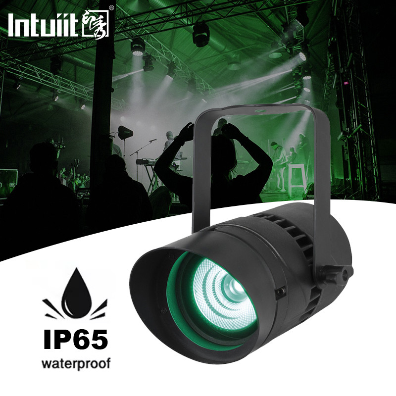 Luce proiettore 15W DMX512 RGBW Nera di raggio stretto Direzionale Paesaggio Giardino Luce per Hotel Banchetto Giardino Giardino