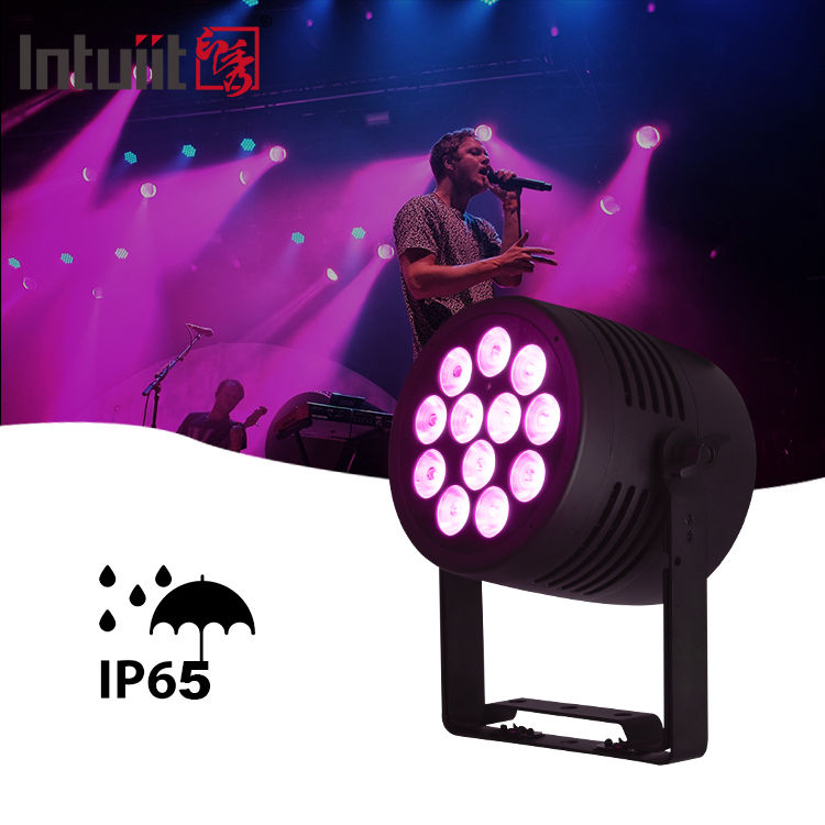 Faretto LED Par DMX 512 impermeabile IP65 per esterni, 12x20w RGBWA-UV 6in1, Eventi DJ, Wash Light