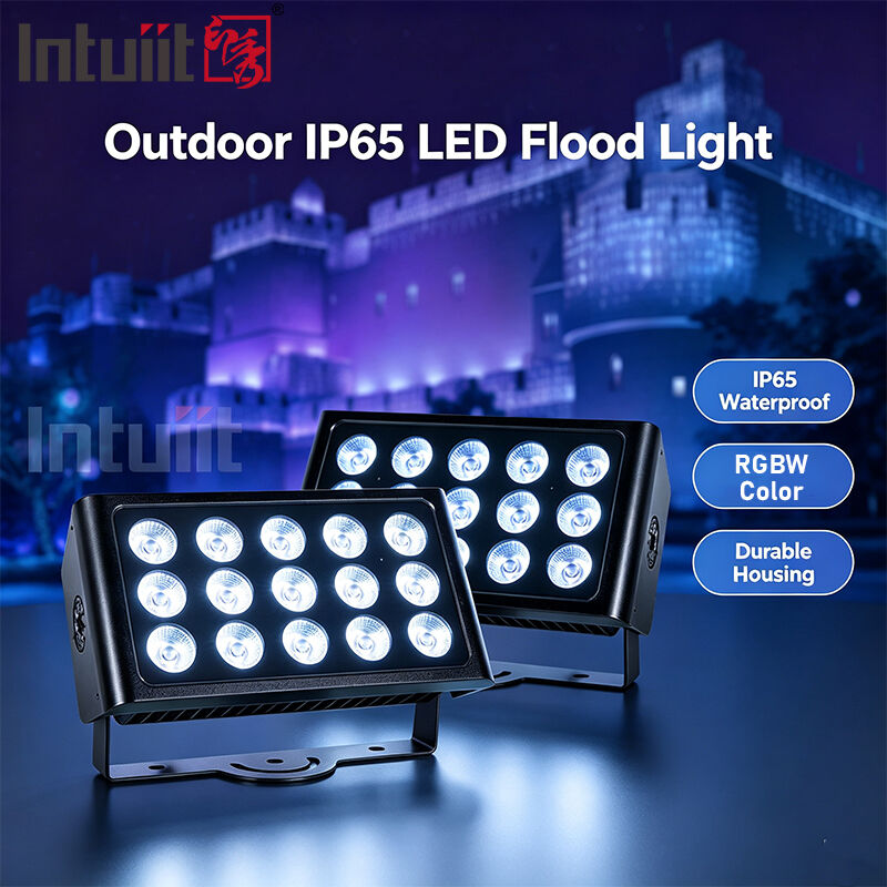 15x5W RGBW 4-in-1 IP65 Faretto LED da Esterno — DMX512 Impermeabile Ampio Fascio per Giardino, Palco e Illuminazione di Edifici