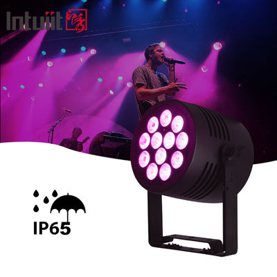 Faretto LED Par DMX 512 impermeabile IP65 per esterni, 12x20w RGBWA-UV 6in1, Eventi DJ, Wash Light