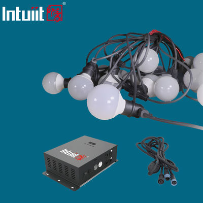 CA 100V delle luci della corda del globo di colore della lampadina dell'ABS multi per l'albero del partito