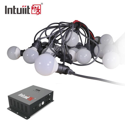 luci dell'interno della corda dell'albero di Natale di 240V LED sviluppate nel programma
